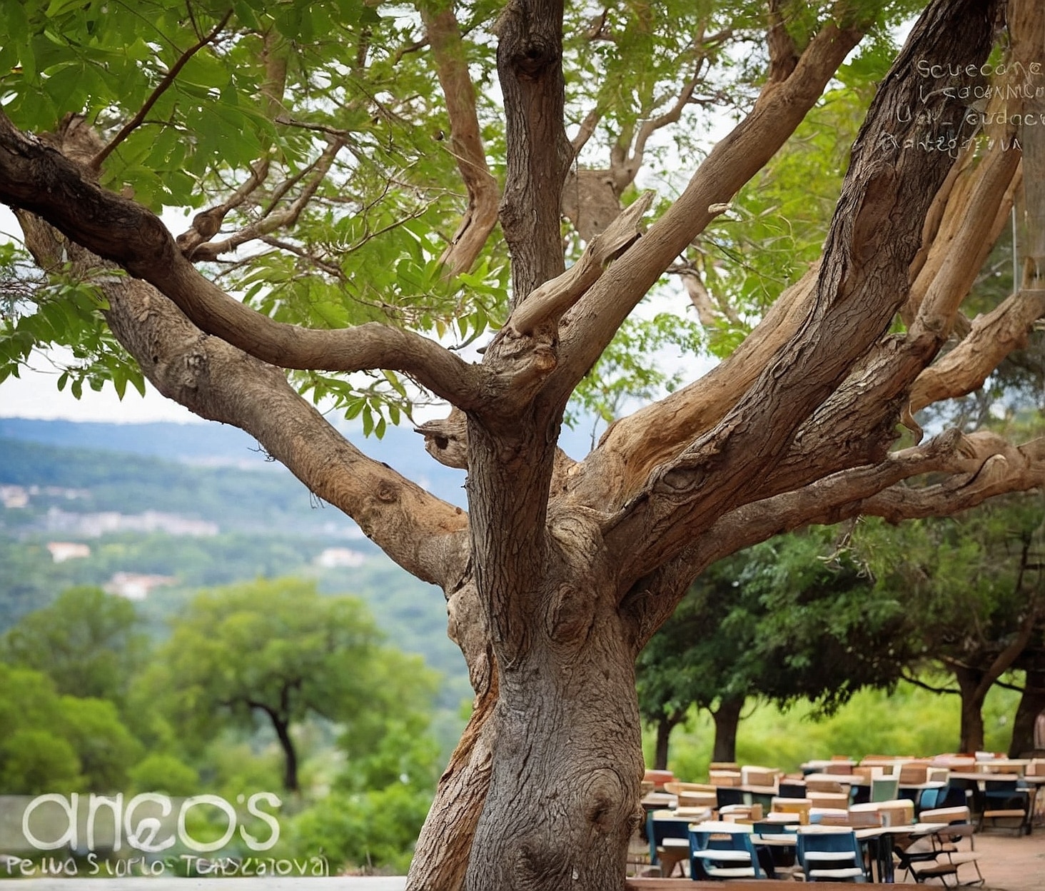 Ambiente tranquilo y creativo